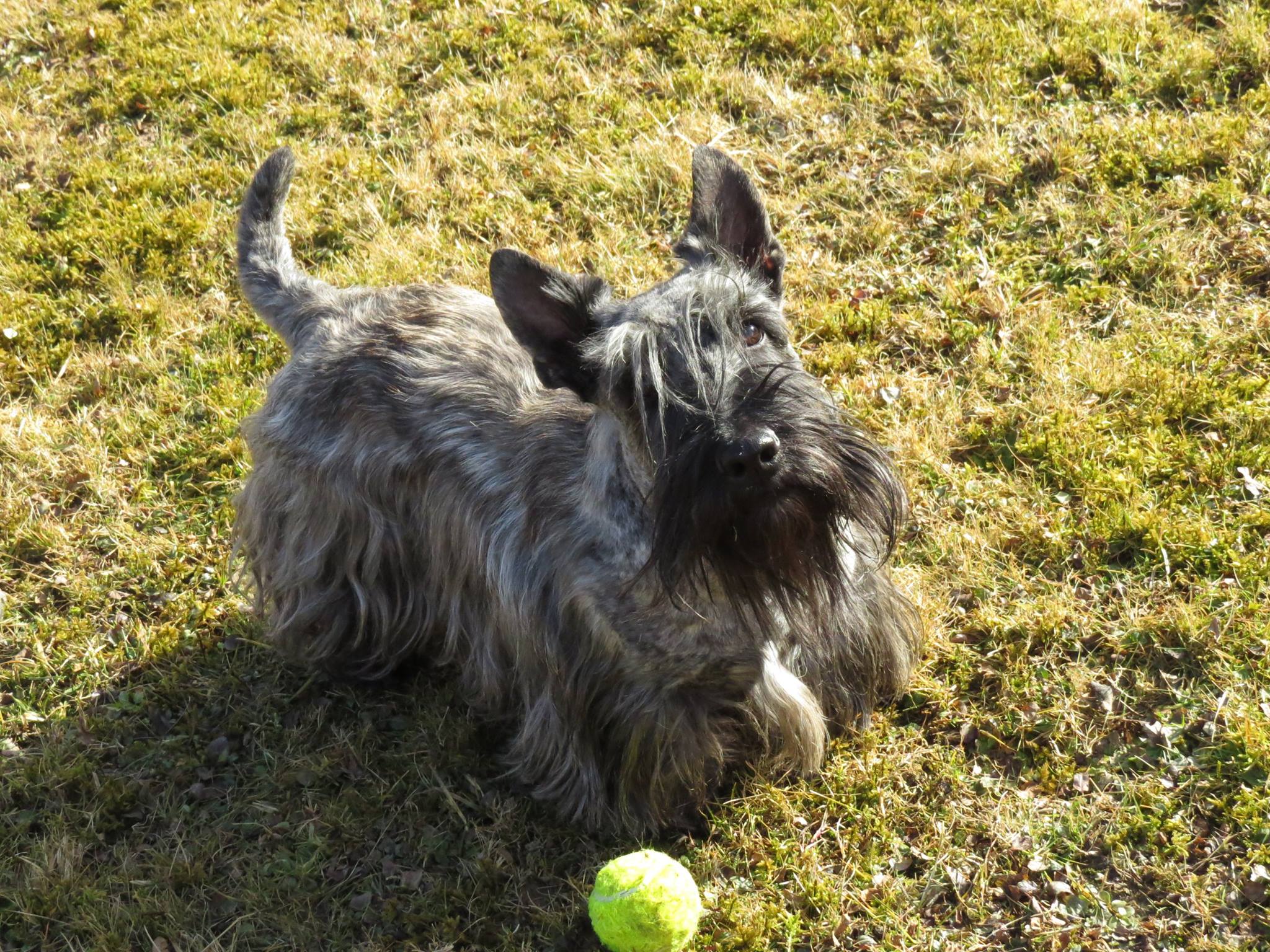 12633469_520742598107207_543033432237801600_o 12633469_520742598107207_543033432237801600_o