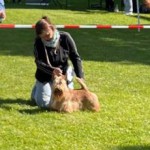 IMG-20250510-WA0010~2