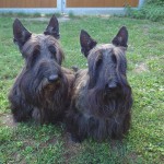 20250903_184750 (1)~2