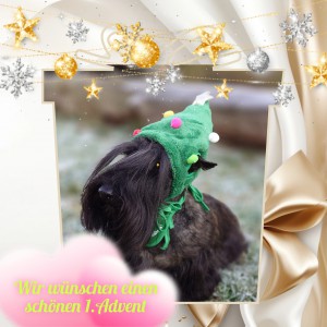 GridArt_20251130_093829857