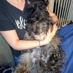 20240210_094827~2 (1)