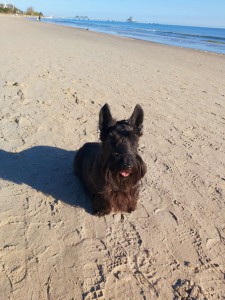 35edb2c9887f4bb49473401c4b4744eb