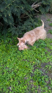 IMG-20260416-WA0018