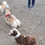 IMG-20260516-WA0021