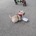 IMG-20260516-WA0030