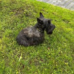 IMG-20260521-WA0013