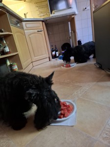 IMG-20260623-WA0008