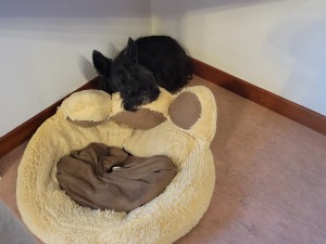 IMG-20260724-WA0002