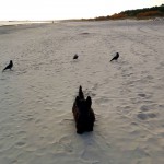 IMG-20261027-WA0007