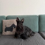 IMG-20261027-WA0011