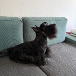 IMG-20261027-WA0012